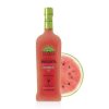 Watermelon Margarita On Ice (12oz)